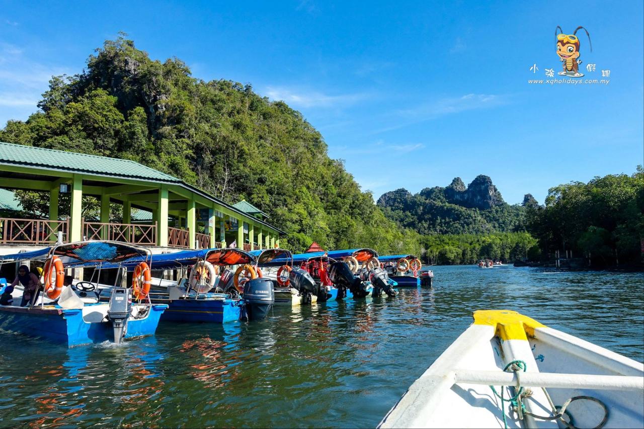 Jelajahi Keindahan Alam Langkawi dengan Mangrove Tour yang Menakjubkan