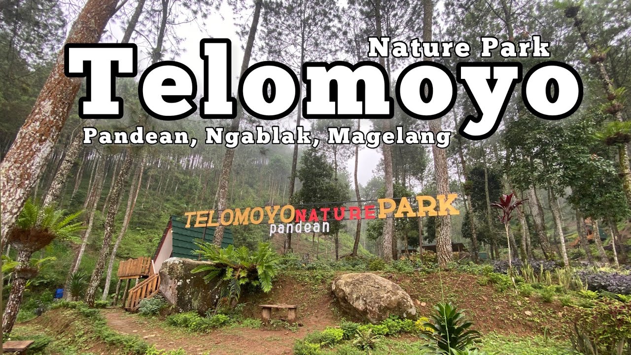 Telomoyo Nature Park: Pesona Alam dan Aktivitas Menantang